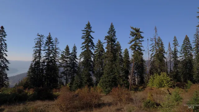 $212,000 | Tbd White Pine Drive, Orofino, ID 83544