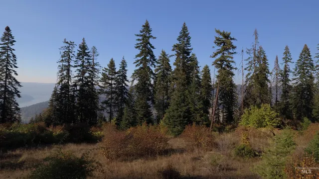 $212,000 | Tbd White Pine Drive, Orofino, ID 83544