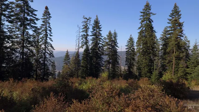 $212,000 | Tbd White Pine Drive, Orofino, ID 83544