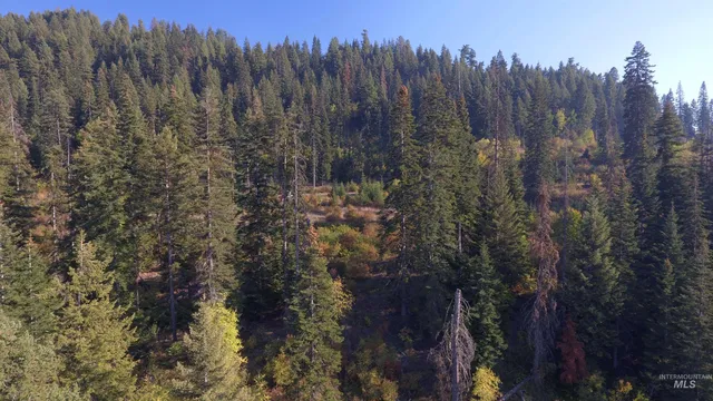 $212,000 | Tbd White Pine Drive, Orofino, ID 83544