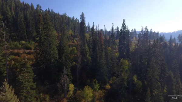 $212,000 | Tbd White Pine Drive, Orofino, ID 83544