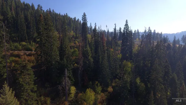 $212,000 | Tbd White Pine Drive, Orofino, ID 83544