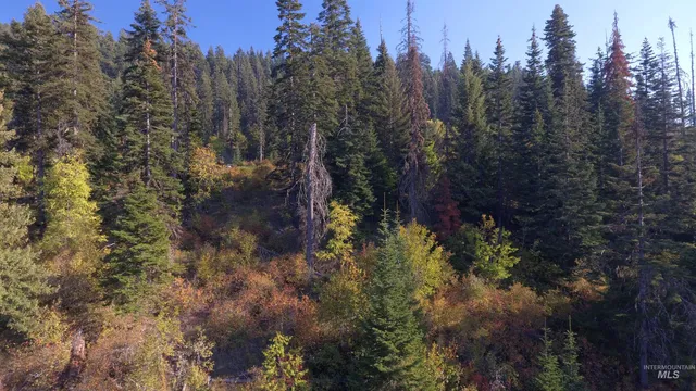 $212,000 | Tbd White Pine Drive, Orofino, ID 83544