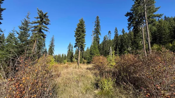 $212,000 | Tbd White Pine Drive, Orofino, ID 83544