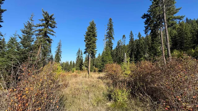 $212,000 | Tbd White Pine Drive, Orofino, ID 83544