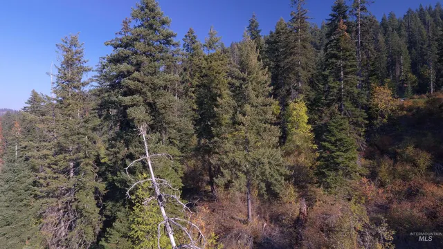 $212,000 | Tbd White Pine Drive, Orofino, ID 83544