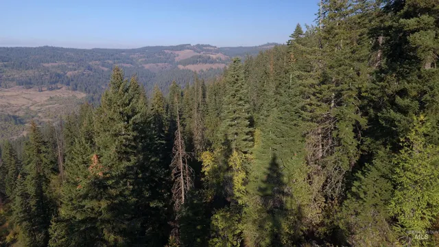 $212,000 | Tbd White Pine Drive, Orofino, ID 83544