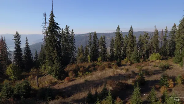 $212,000 | Tbd White Pine Drive, Orofino, ID 83544