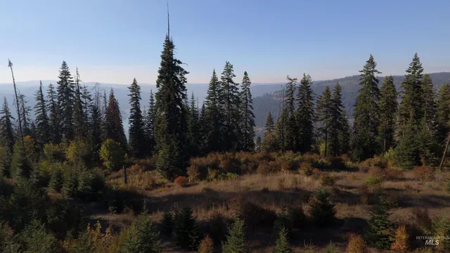 $212,000 | Tbd White Pine Drive, Orofino, ID 83544