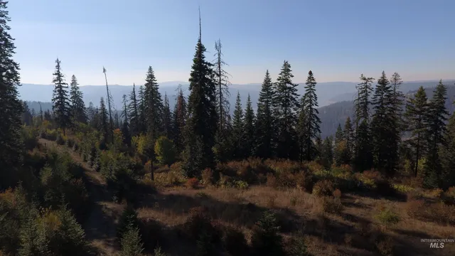 $212,000 | Tbd White Pine Drive, Orofino, ID 83544