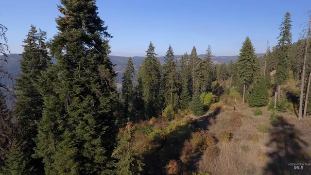 $212,000 | Tbd White Pine Drive, Orofino, ID 83544