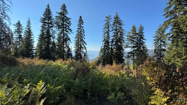 $212,000 | Tbd White Pine Drive, Orofino, ID 83544