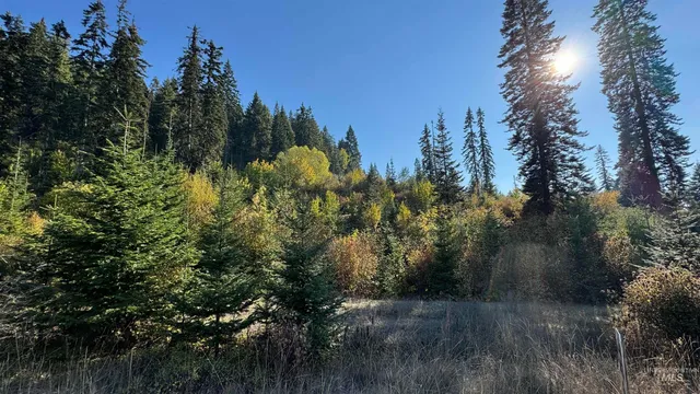 $212,000 | Tbd White Pine Drive, Orofino, ID 83544