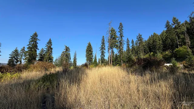 $212,000 | Tbd White Pine Drive, Orofino, ID 83544
