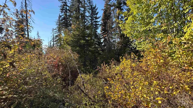 $212,000 | Tbd White Pine Drive, Orofino, ID 83544
