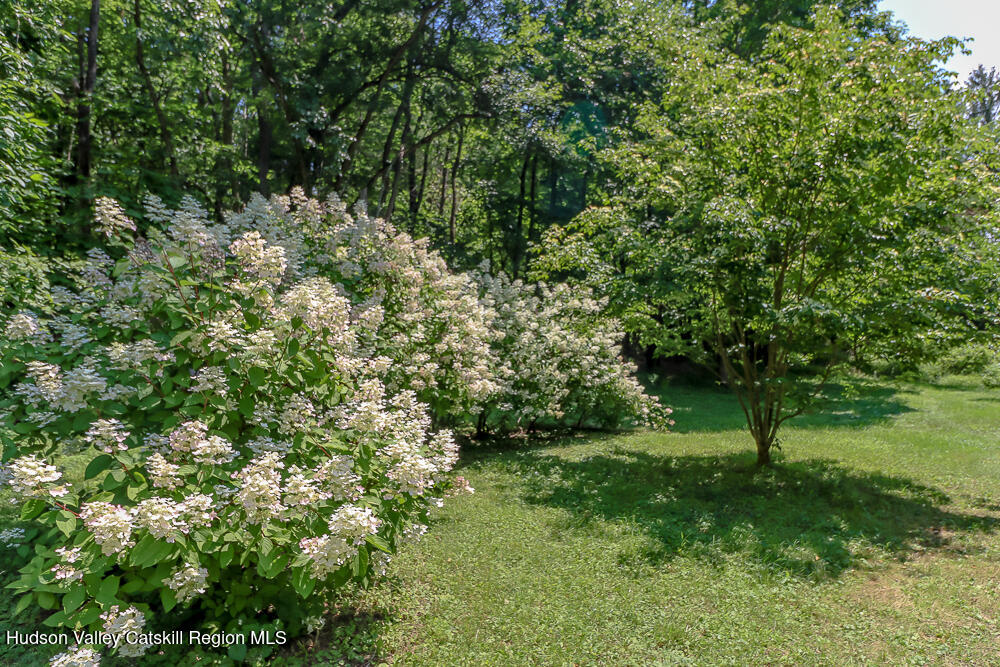 277 Clark Road Chatham, NY 12060 - Photo 10 of 34 flowering bushes