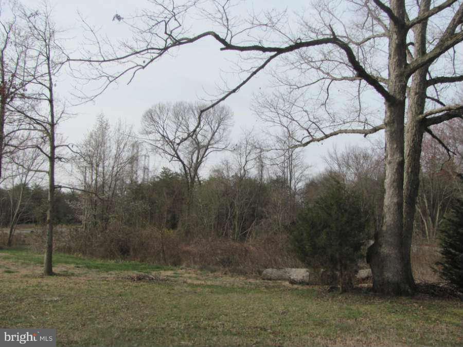 11809 Cherry Tree Crossing Road Brandywine, MD 20613 - Photo 29 of 30 Large Yard beside the house