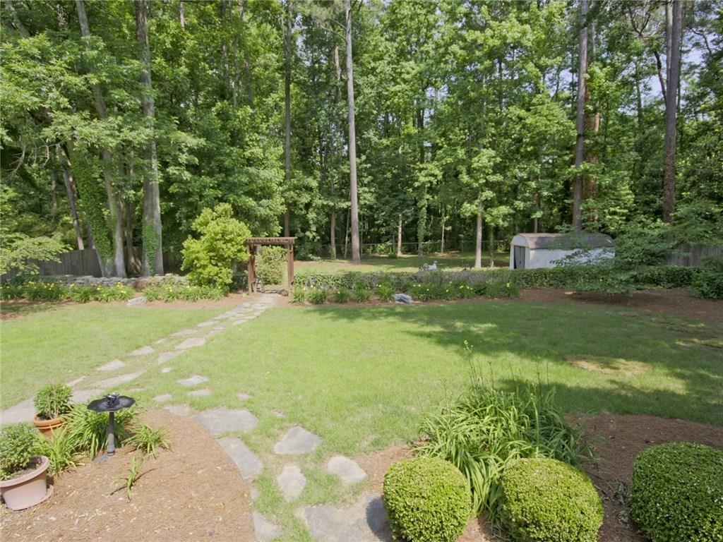 a view of a park with large trees