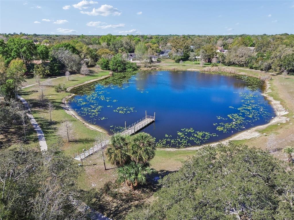 7995 Chaucer Drive Weeki Wachee, FL 34607 - Photo 60 of 82