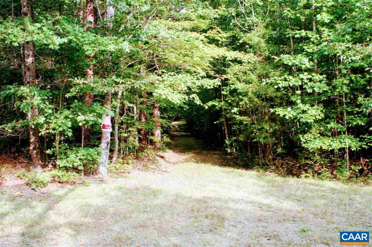 Tba Lot 2 Tba Route South Dillwyn, VA 23936 - Photo 28 of 39 Gallery Image 28