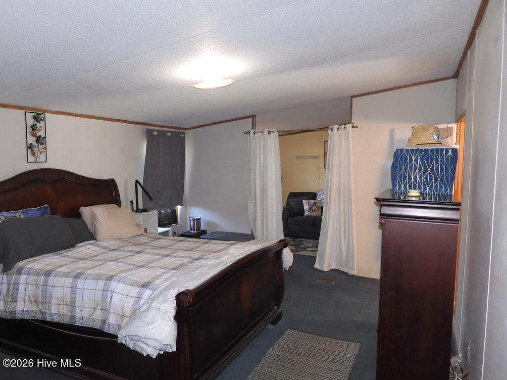 201 Duck Ridge Drive Pikeville, NC 27863 - Photo 18 of 30 MASTER BEDROOM