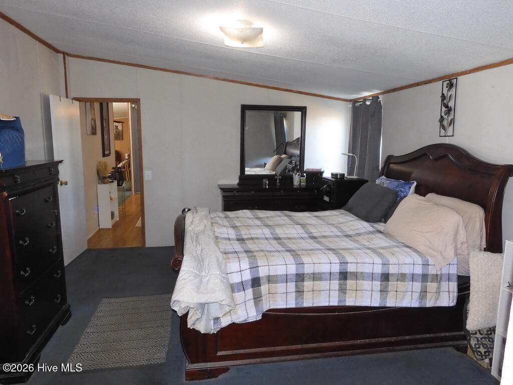 201 Duck Ridge Drive Pikeville, NC 27863 - Photo 19 of 30 MASTER BEDROOM