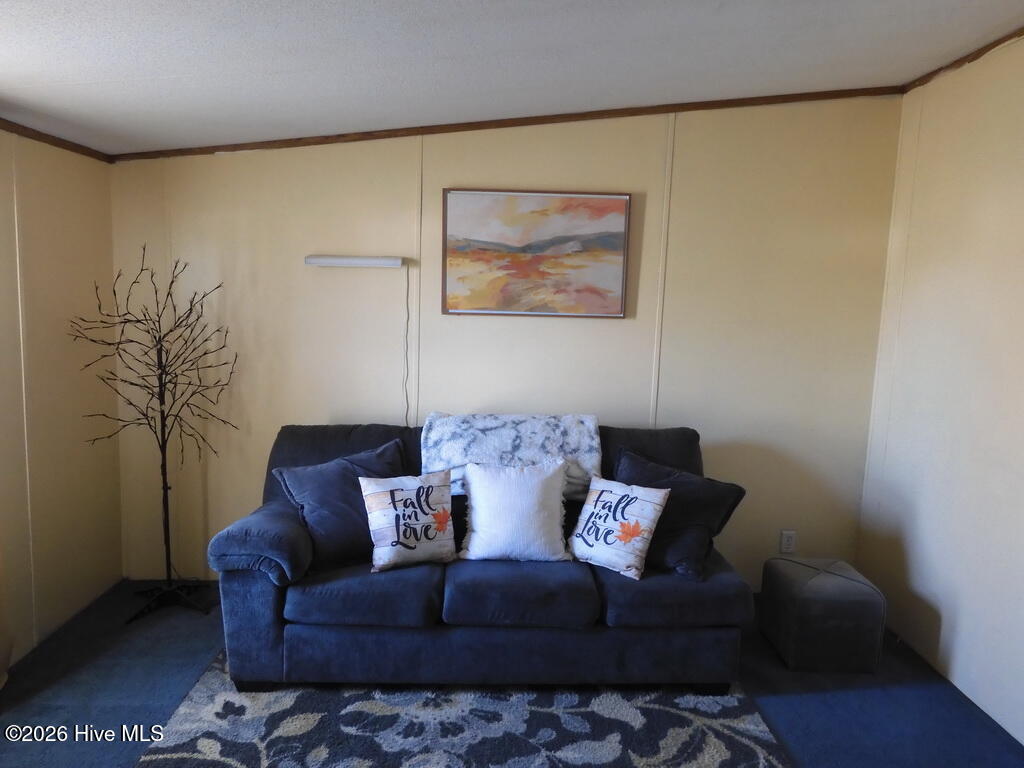 201 Duck Ridge Drive Pikeville, NC 27863 - Photo 20 of 30 MASTER SITTING ROOM