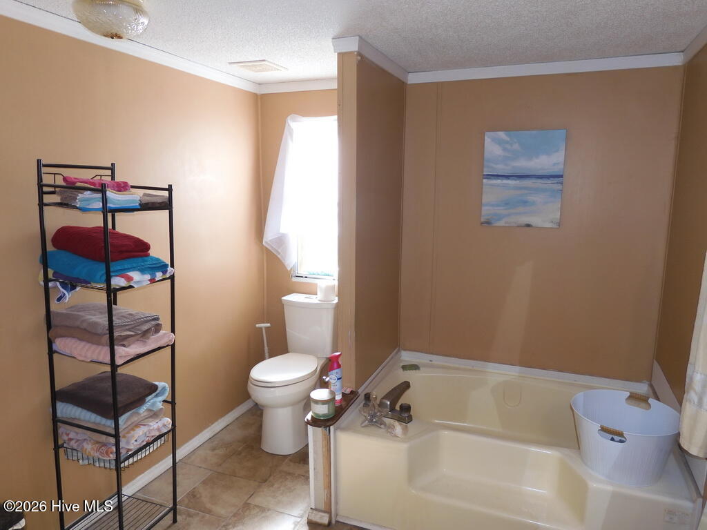 201 Duck Ridge Drive Pikeville, NC 27863 - Photo 22 of 30 MASTER BATH