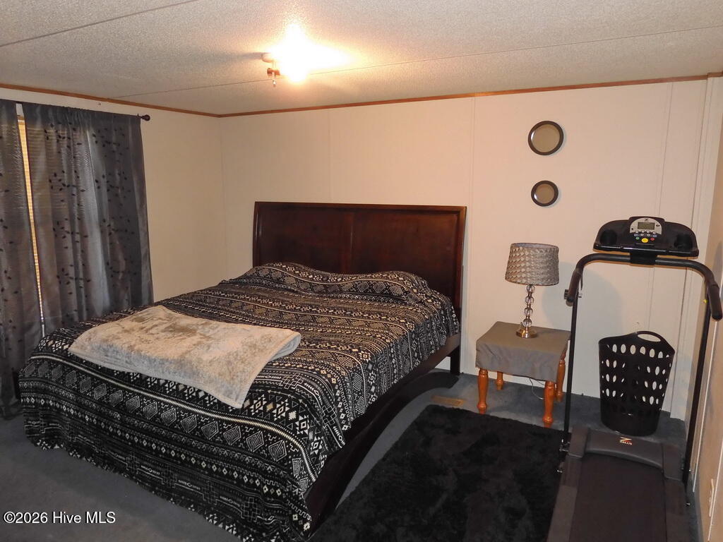 201 Duck Ridge Drive Pikeville, NC 27863 - Photo 24 of 30 BEDROOM 2