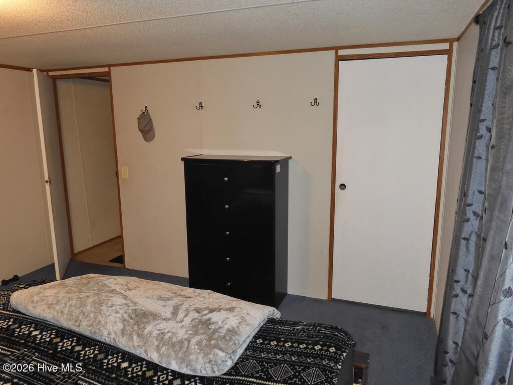 201 Duck Ridge Drive Pikeville, NC 27863 - Photo 25 of 30 BEDROOM 2