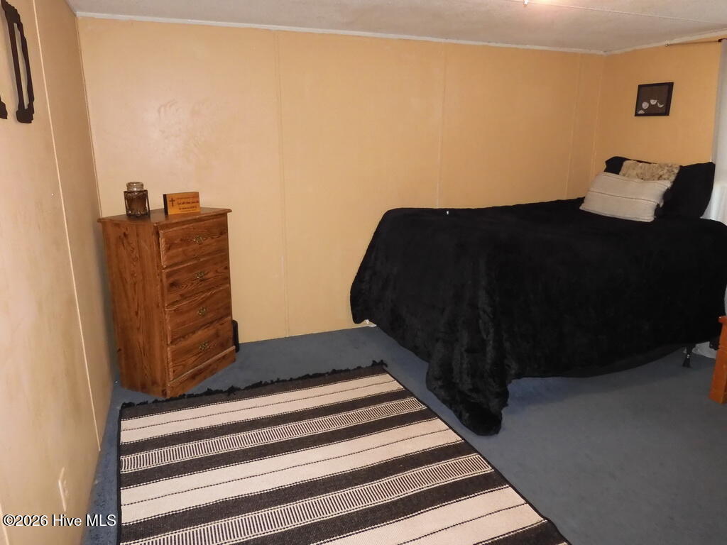 201 Duck Ridge Drive Pikeville, NC 27863 - Photo 27 of 30 BEDROOM 3