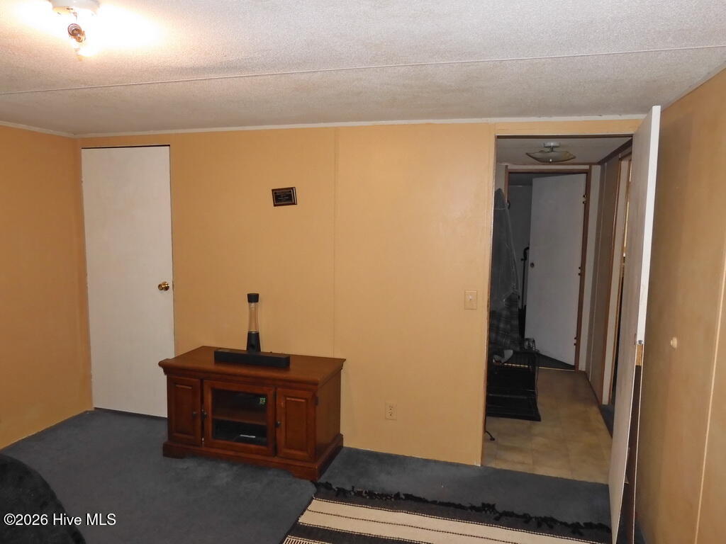 201 Duck Ridge Drive Pikeville, NC 27863 - Photo 28 of 30 BEDROOM 3