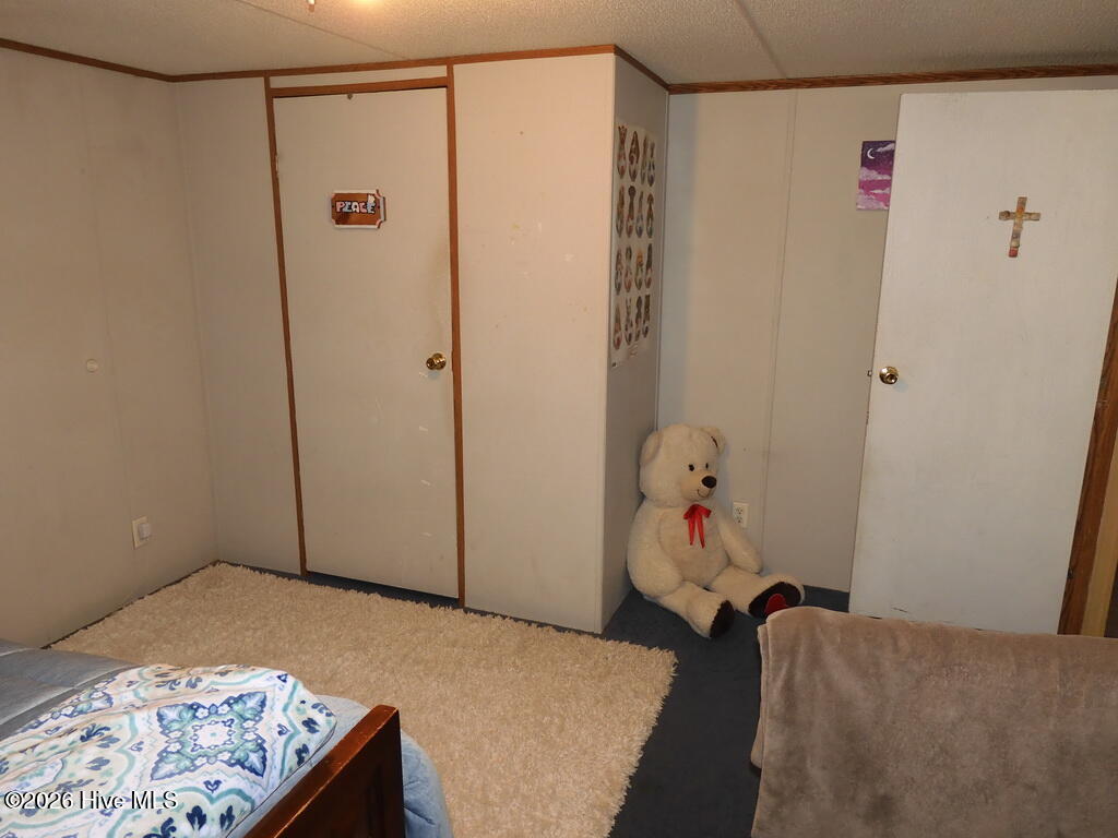 201 Duck Ridge Drive Pikeville, NC 27863 - Photo 29 of 30 BEDROOM 4