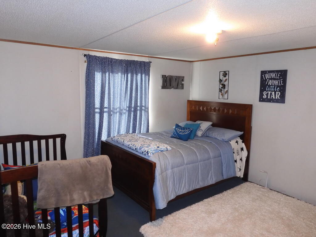 201 Duck Ridge Drive Pikeville, NC 27863 - Photo 30 of 30 BEDROOM 4