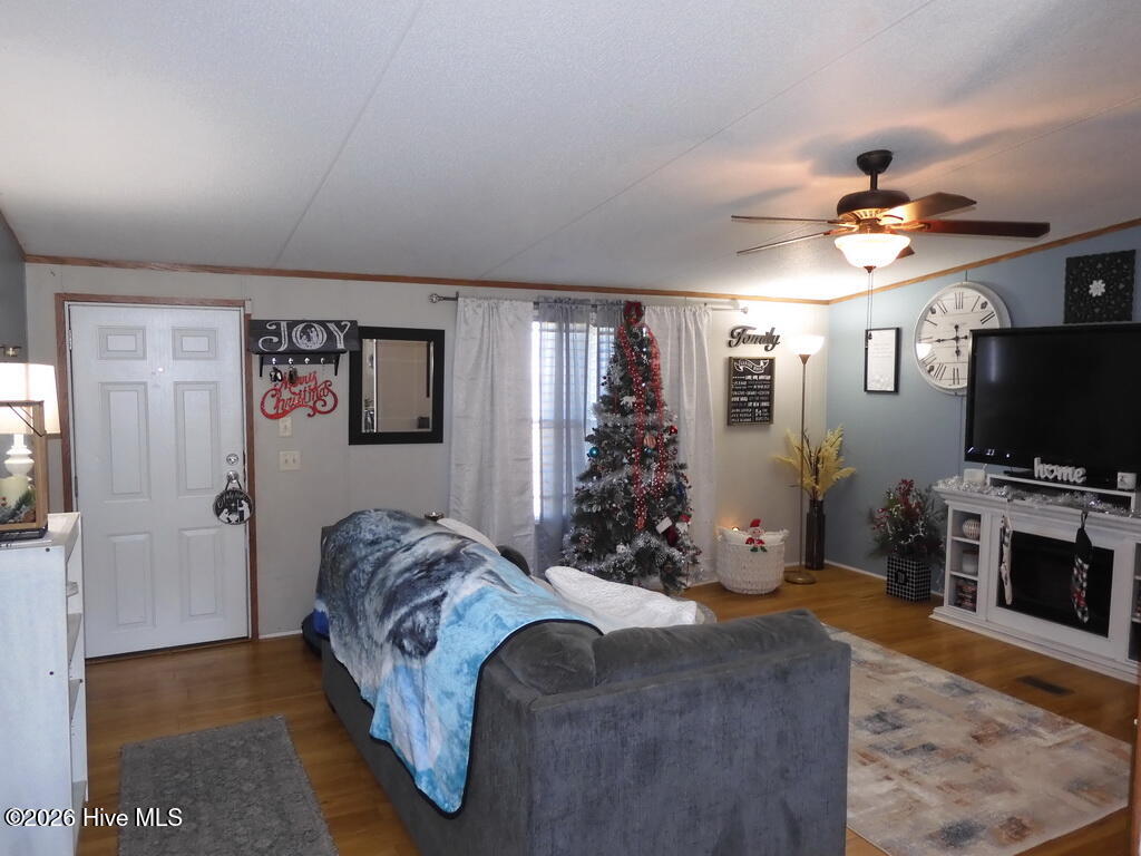 201 Duck Ridge Drive Pikeville, NC 27863 - Photo 5 of 30 LIVING ROOM