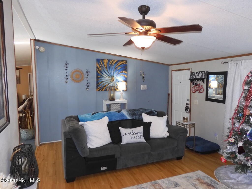 201 Duck Ridge Drive Pikeville, NC 27863 - Photo 6 of 30 LIVING ROOM