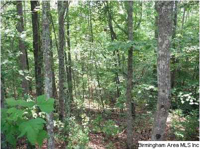 Skyview Road, Unit 1 Ashland, AL 36251 - Photo 2 of 4
