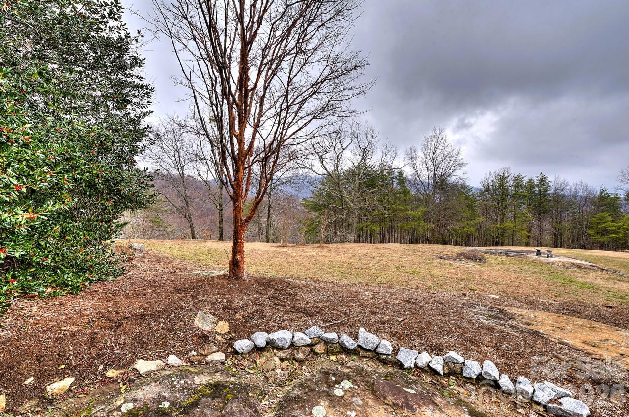 21 Eagle Rock Road Landrum, SC 29356 - Photo 45 of 47