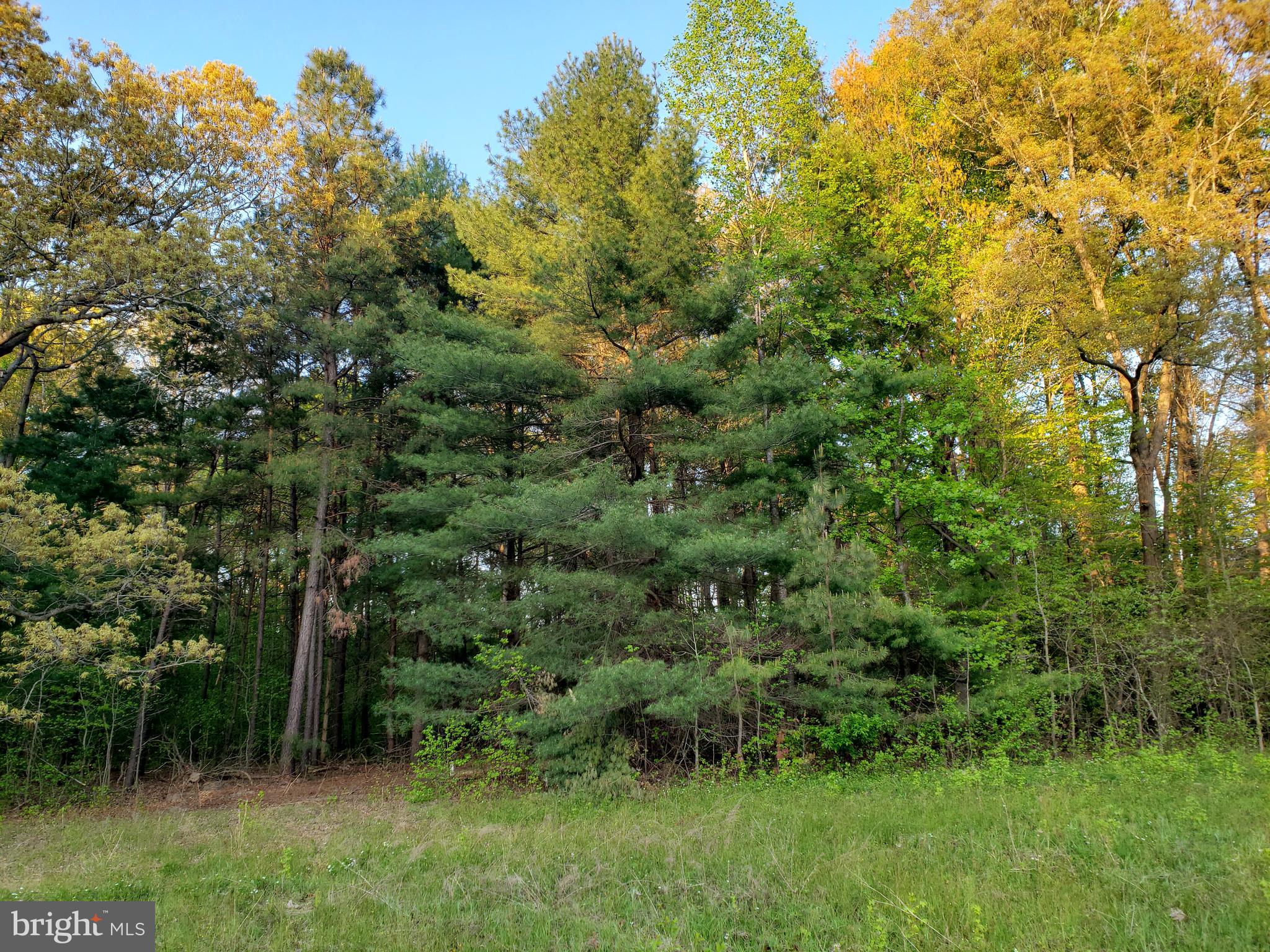 Cranfield Road Denton, MD 21629 - Photo 11 of 15