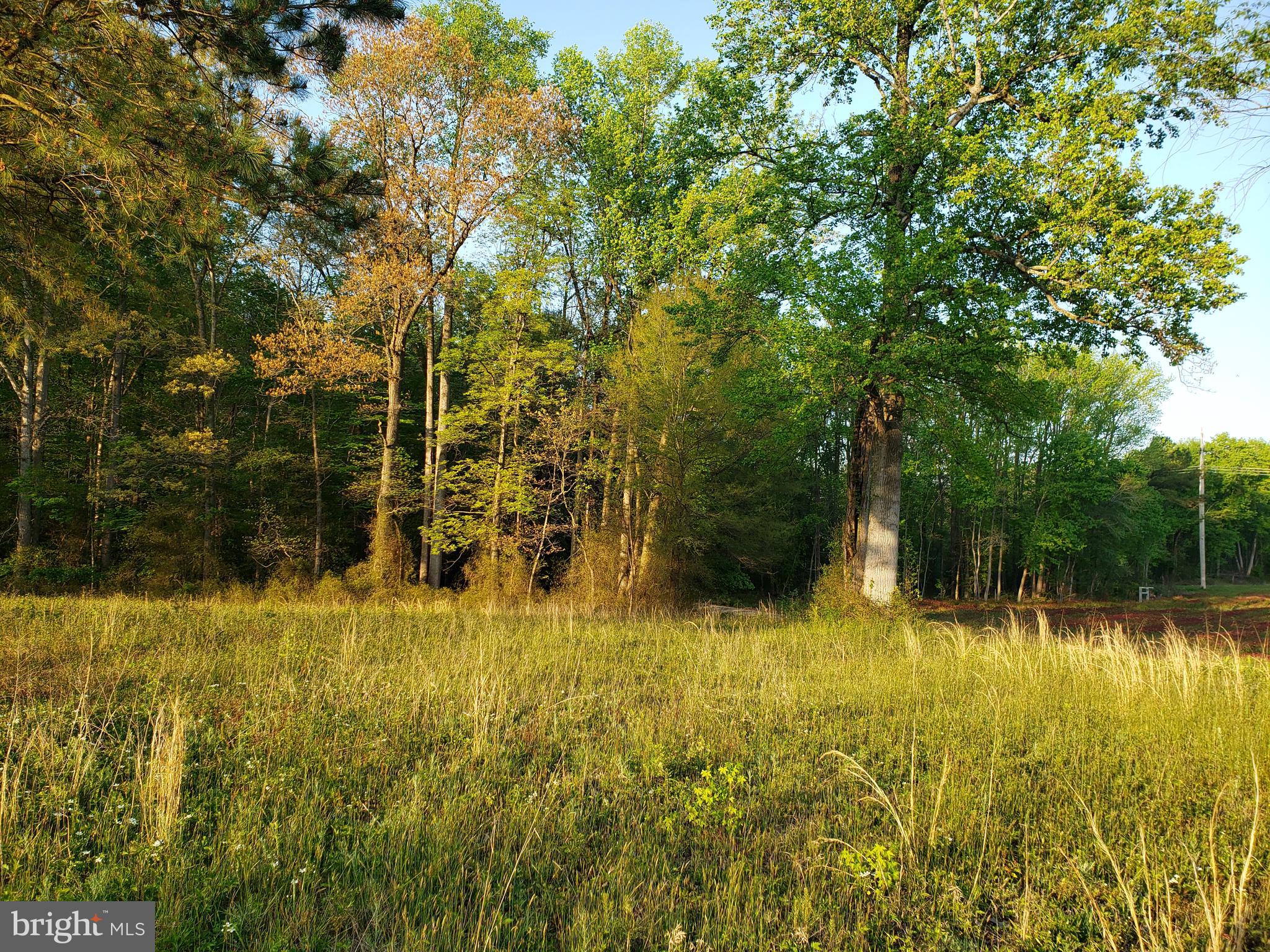 Cranfield Road Denton, MD 21629 - Photo 12 of 15