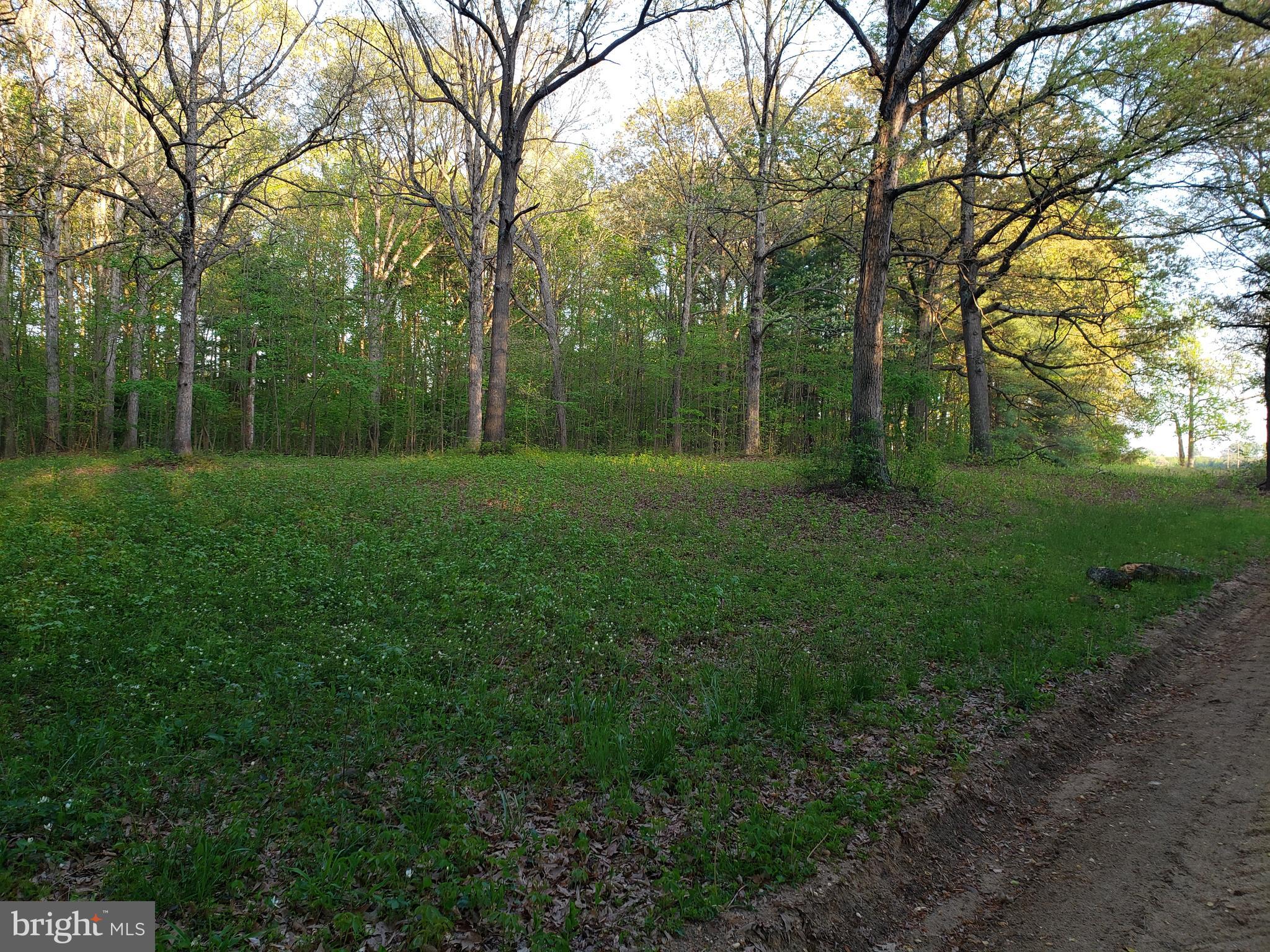 Cranfield Road Denton, MD 21629 - Photo 13 of 15