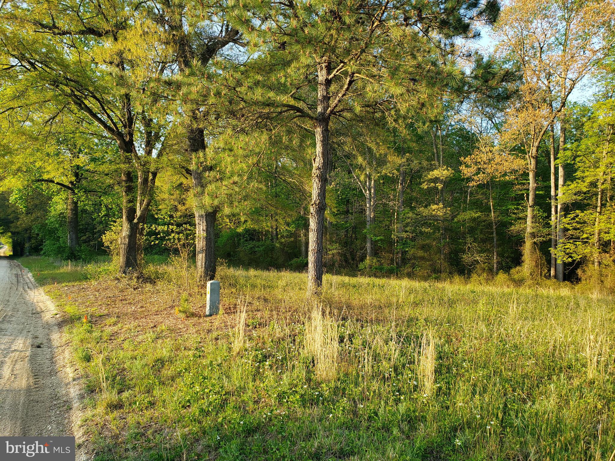 Cranfield Road Denton, MD 21629 - Photo 3 of 15
