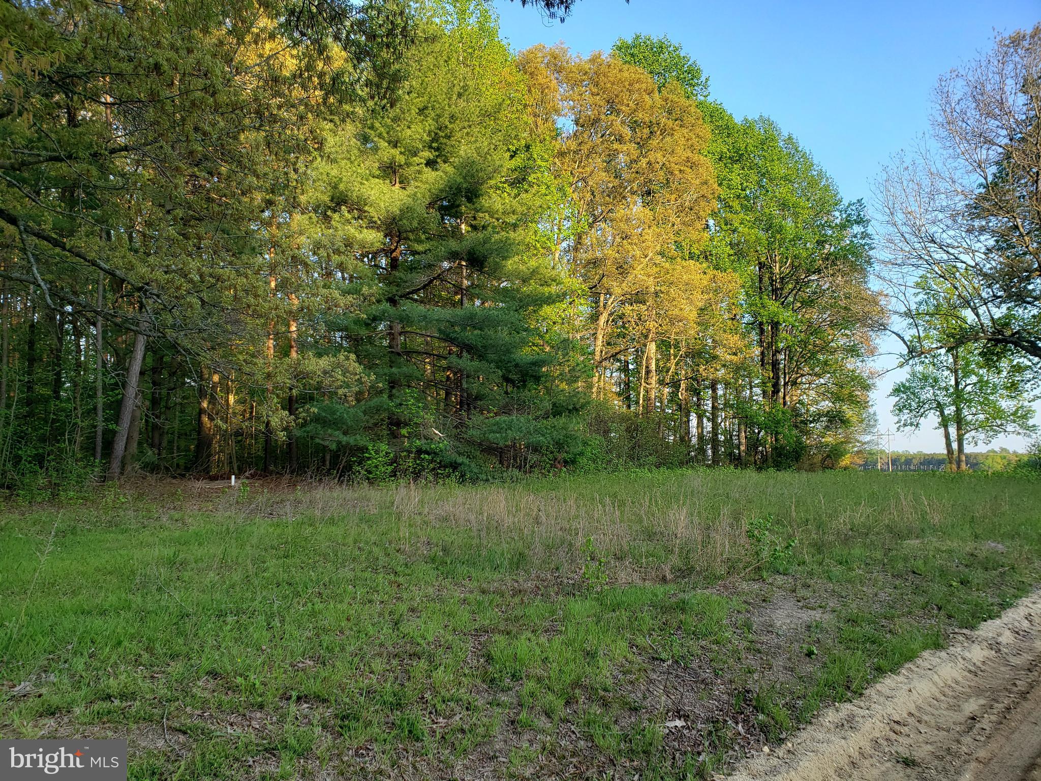Cranfield Road Denton, MD 21629 - Photo 5 of 15