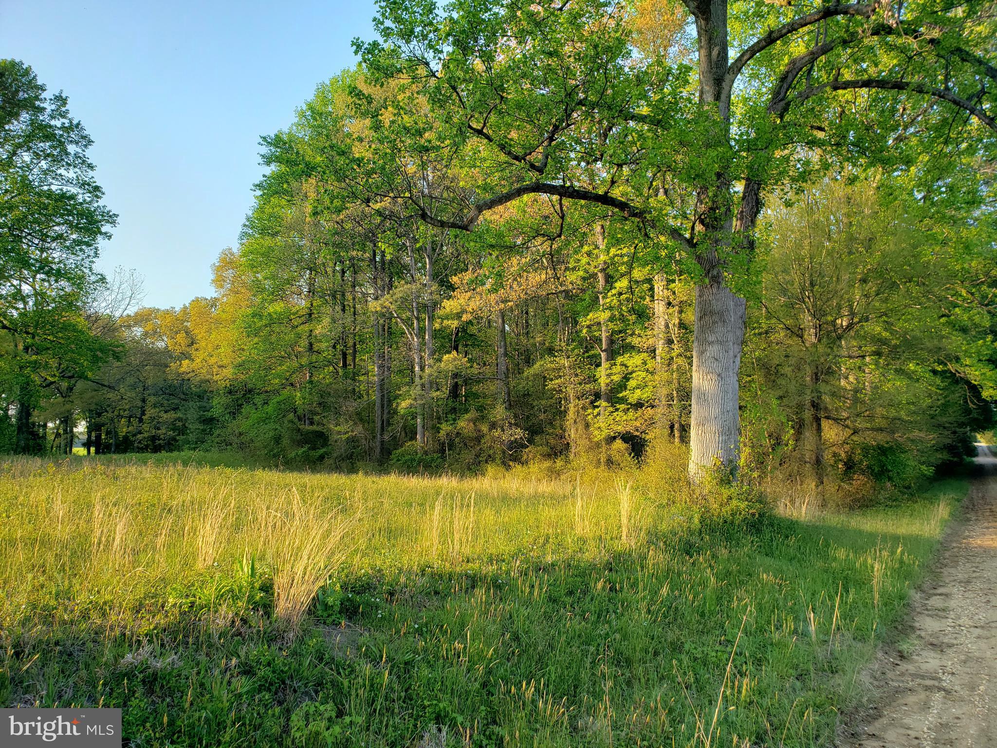 Cranfield Road Denton, MD 21629 - Photo 6 of 15