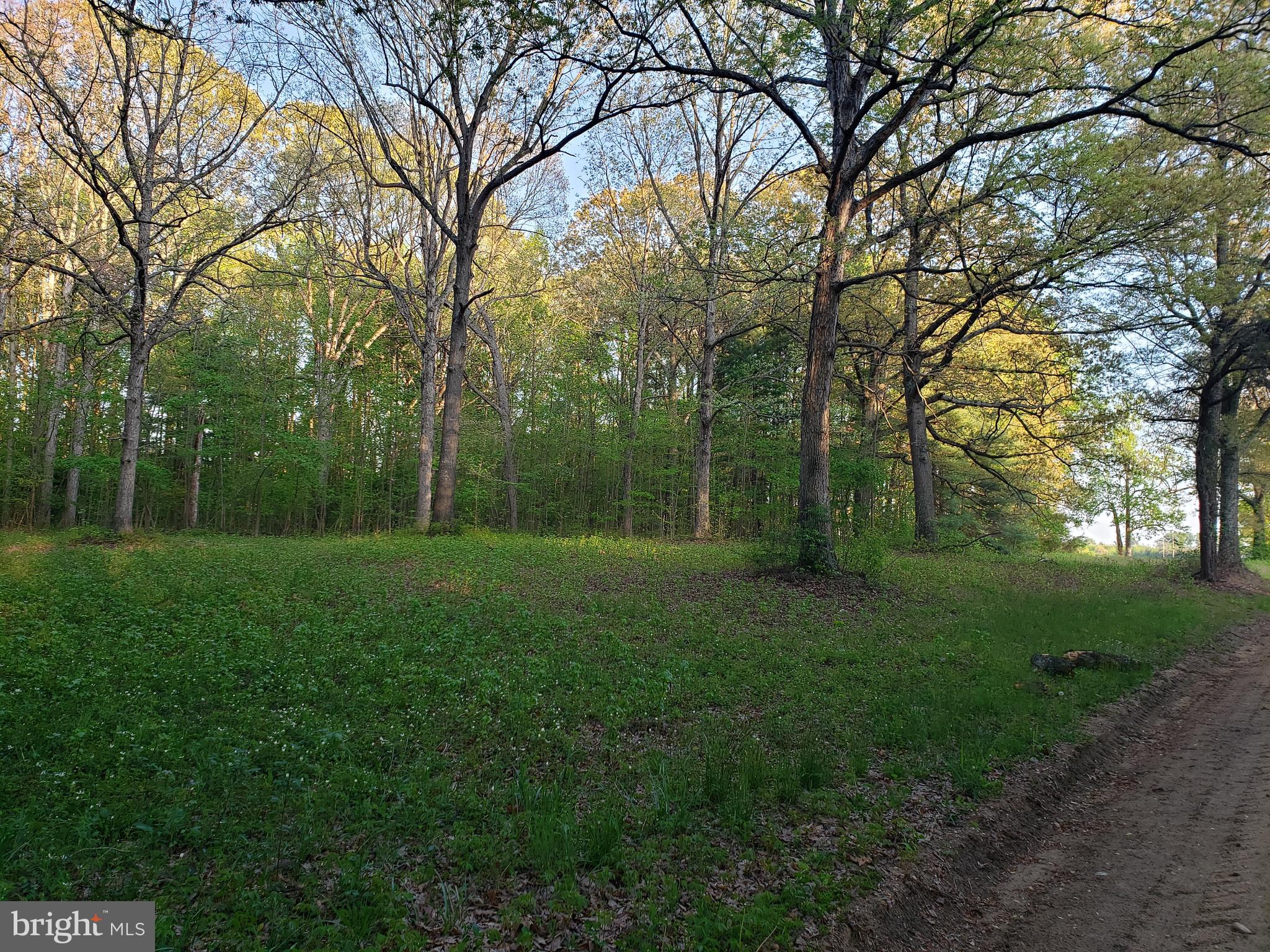 Cranfield Road Denton, MD 21629 - Photo 7 of 15