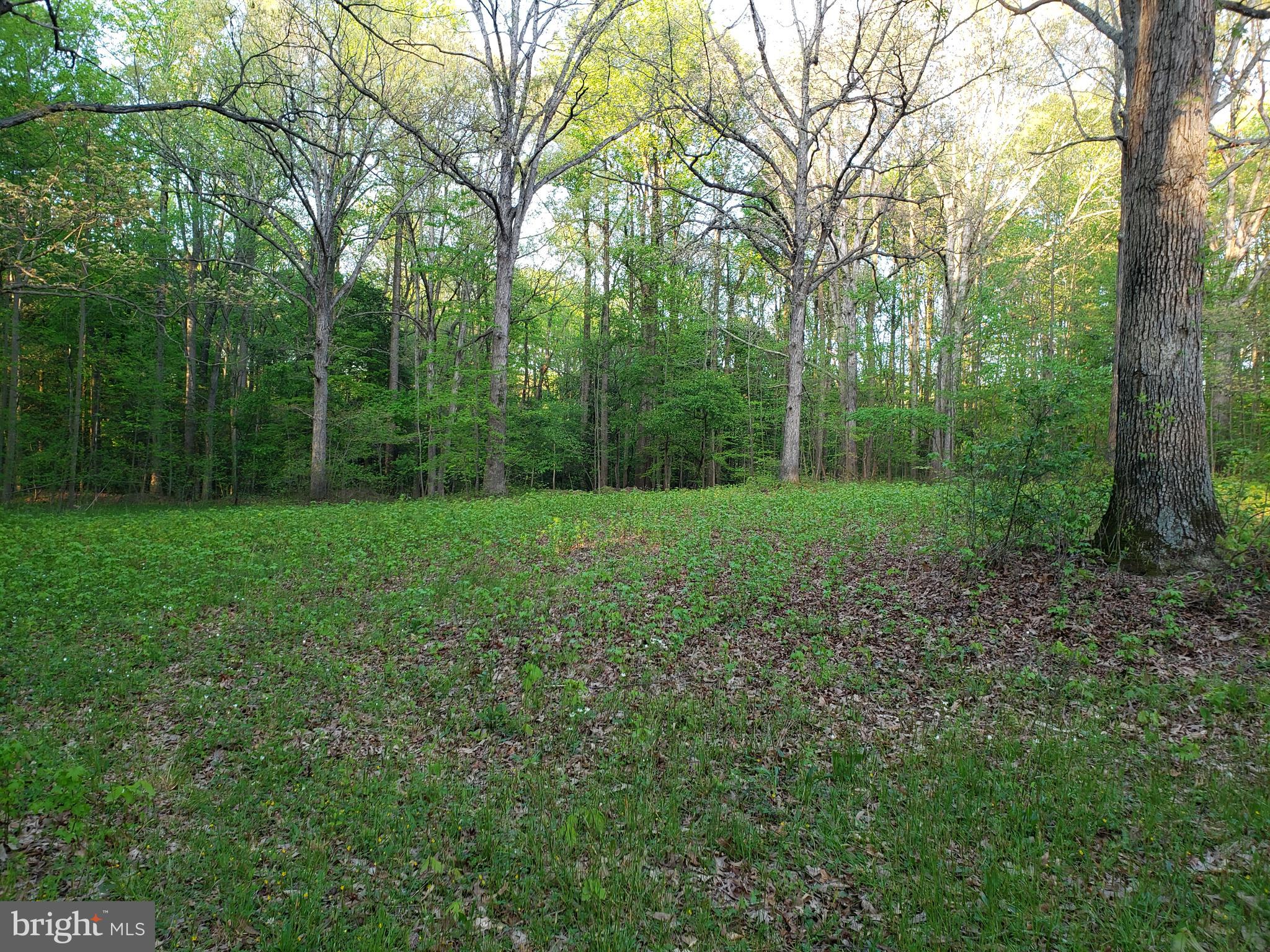 Cranfield Road Denton, MD 21629 - Photo 10 of 15