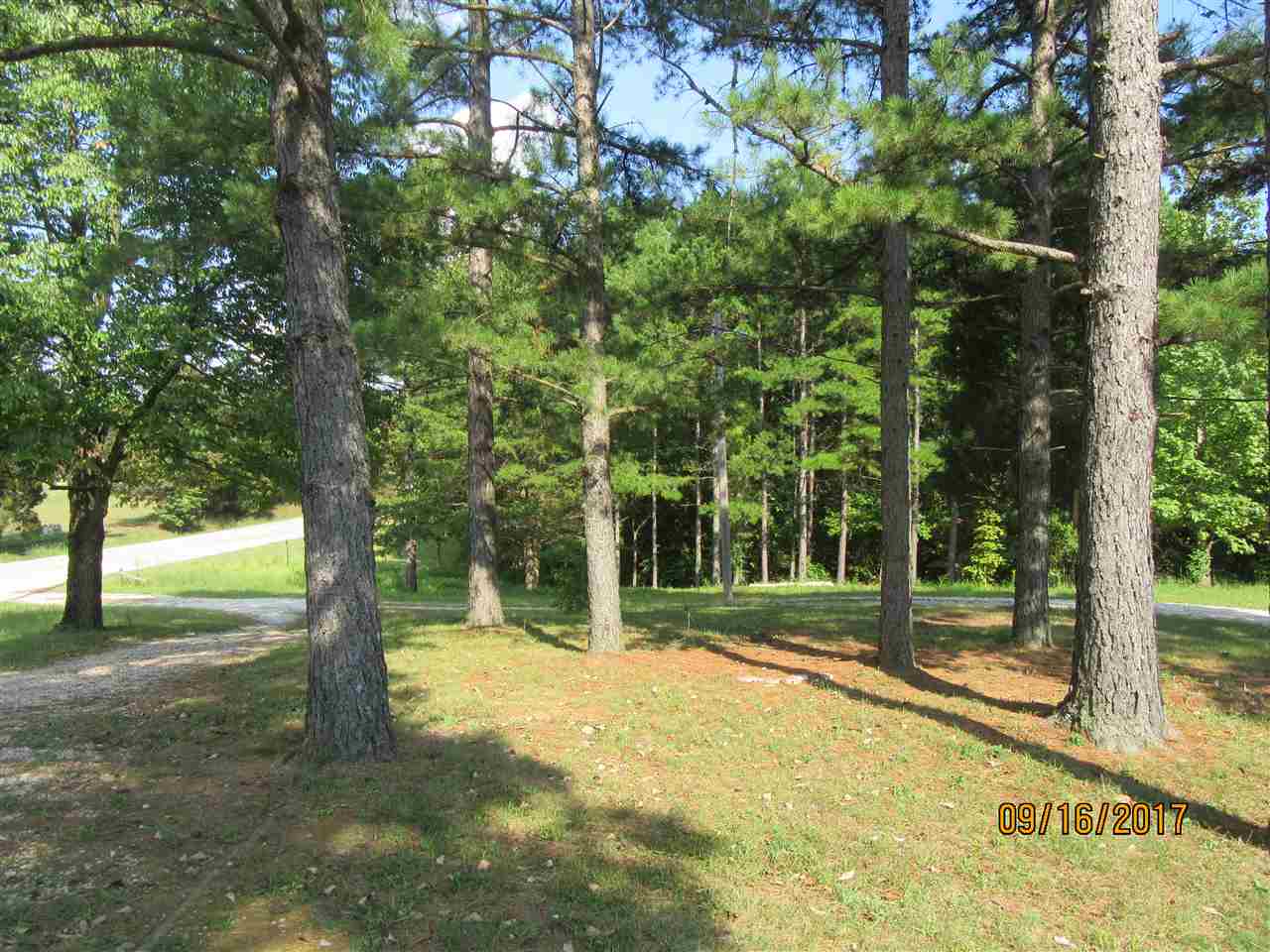 10227 East State Road Cannelton, IN 47520 - Photo 4 of 17