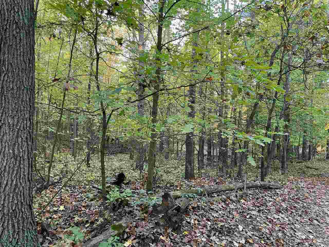 333 Barron Drive Ada, MI 49301 - Photo 10 of 14