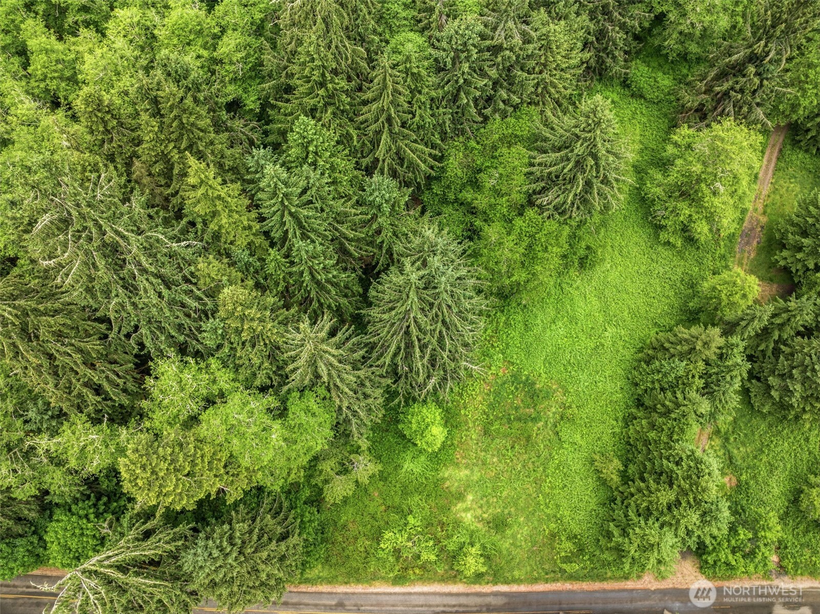 0 East Valley Road Skamokawa, WA 98647 - Photo 13 of 15