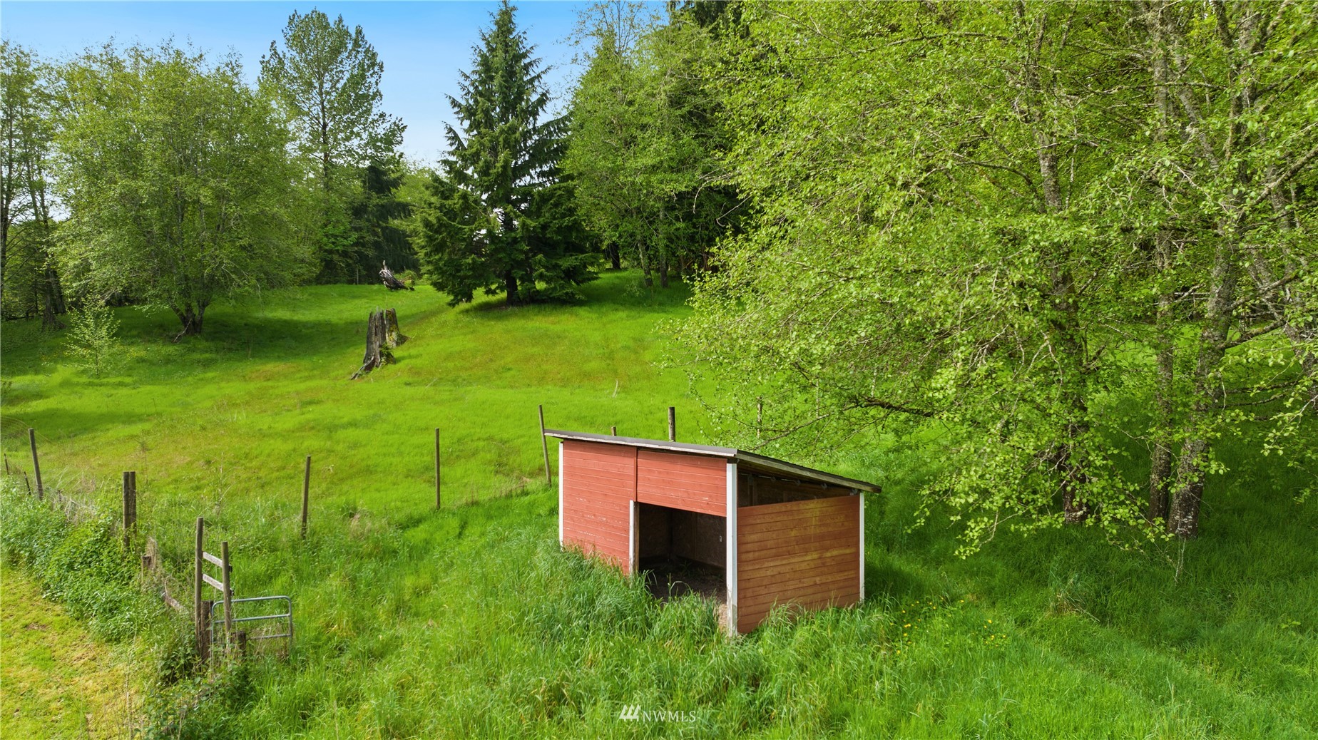 300 West Elk Ridge Road Shelton, WA 98584 - Photo 39 of 40 a backyard of a house with lots of green space and plants